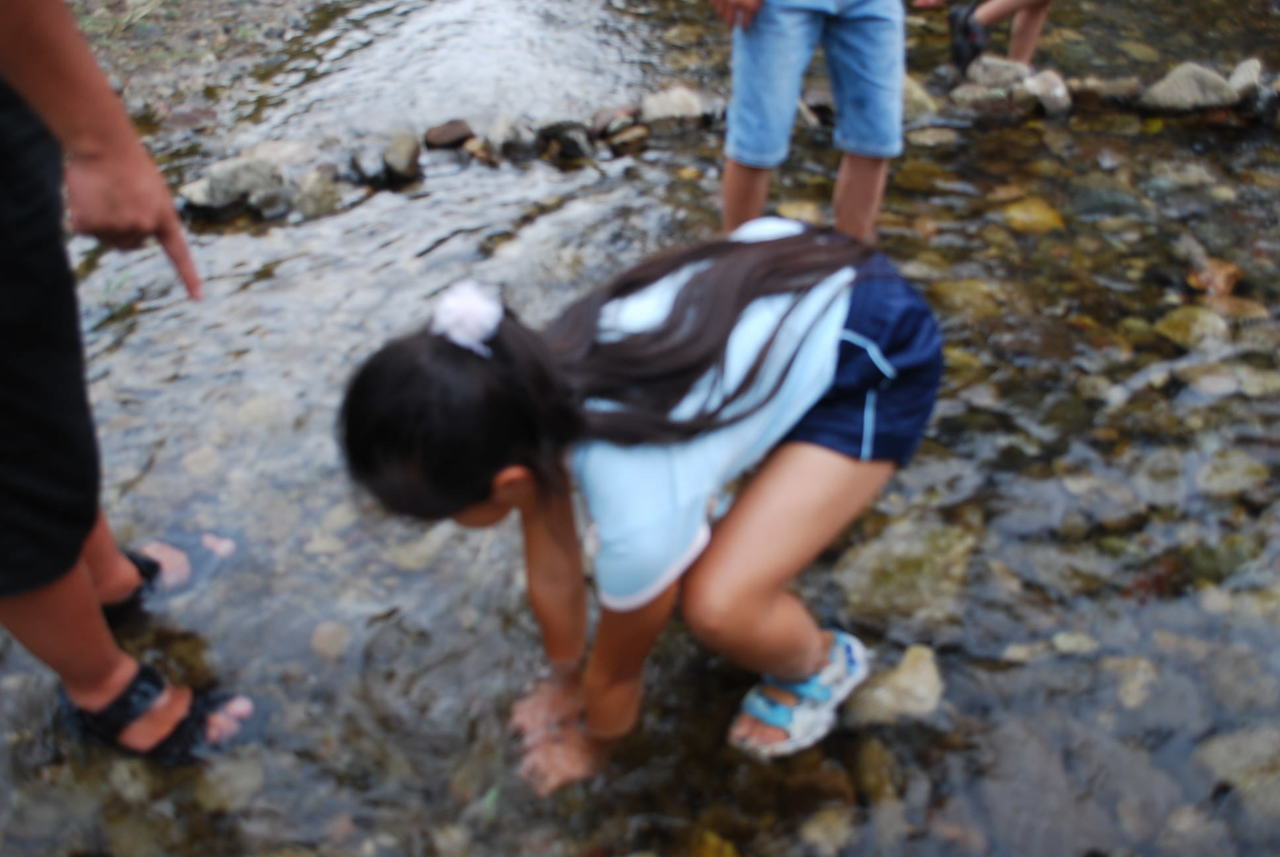 DSC_1366.JPG